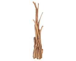 ΚΑΛΟΓΕΡΟΣ HM9367 ΑΠΟ ΜΑΣΙΦ ΞΥΛΟ TEAK ΦΥΣΙΚΟ 36x30x183Υεκ.
